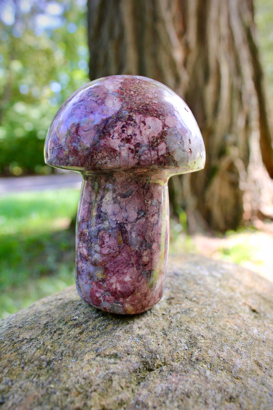 Brecciated Jasper Mushroom