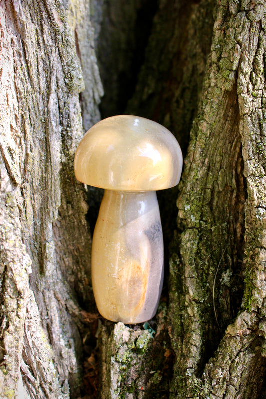 Agate Mushroom