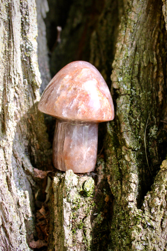 Fire Quartz Mushroom