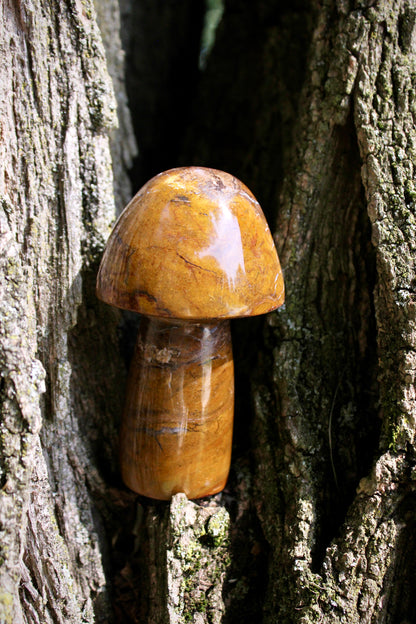 Yellow Jasper Mushroom