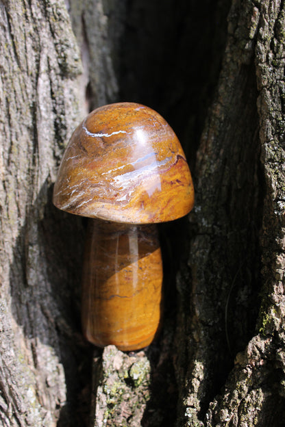 Yellow Jasper Mushroom