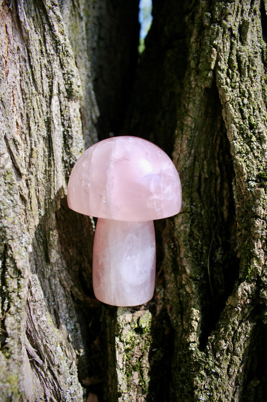 Rose Quartz Mushroom